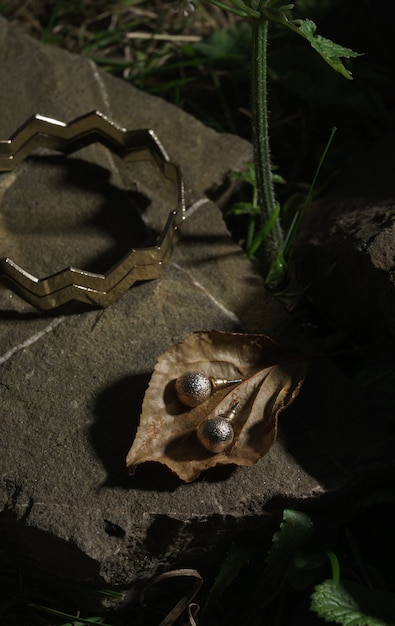 Paire de boucles d'oreilles dorées sur feuille sèche en plein air - Boucles d'oreilles dorées sur configuration d'automne