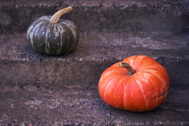 une paire de citrouilles fraîches sur les escaliers en ciment