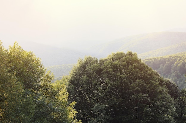 Paisible détente vue sur la montagne Carpates au coucher du soleil Paysage d'été Concept de tranquillité bien-être lieu naturel Photo de haute qualité