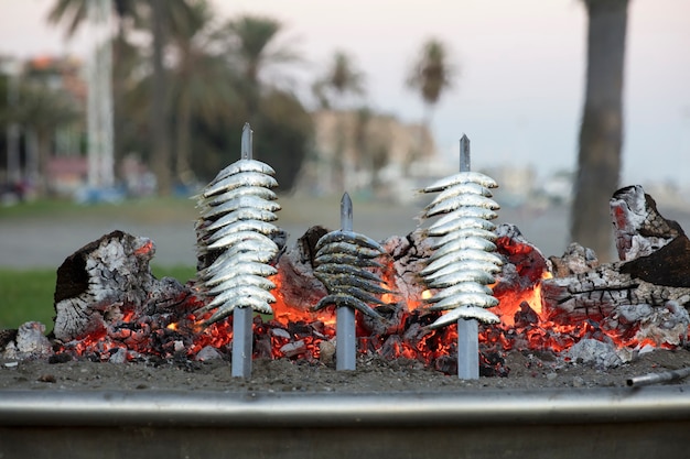 Épaisseur de sardines avec feu au coucher du soleil cuisine méditerranéenne typique de la ville de Malaga