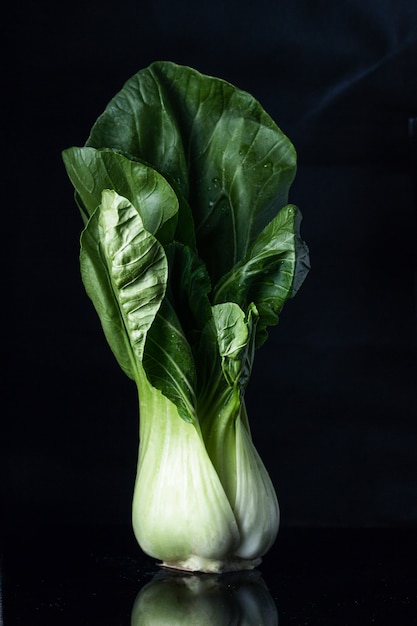 Un Pak Choi Avec Un Fond Noir Foncé