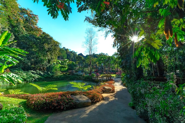 Photo palais doi tung district mae fa luang chiang rai thaïlande