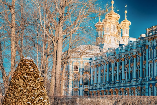 Photo palais ekaterininsky tsarskoïe selo pouchkine banlieue de saint-pétersbourg russie