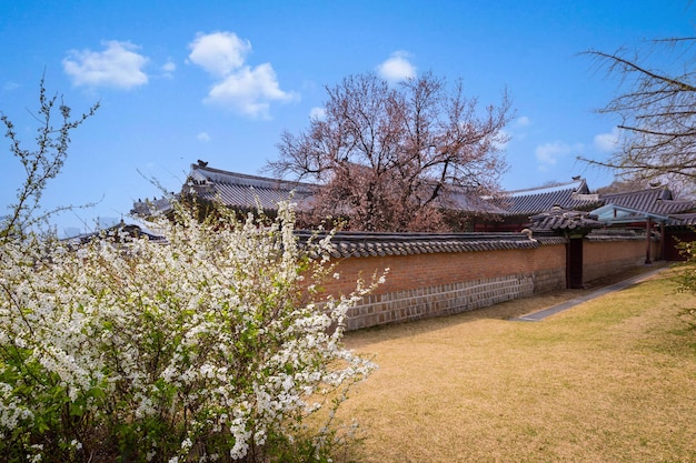 Le palais de Gyeongbokgung au printemps à Séoul, en Corée du Sud