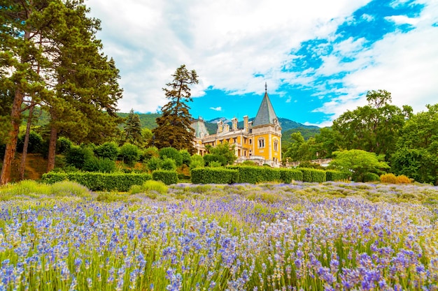 Palais Massandra et petit champ de lavande en Crimée