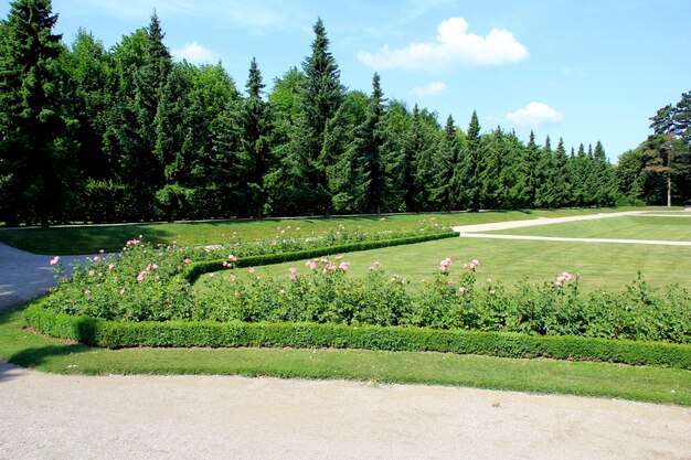 Palais de Schönbrunn à Vienne, Autriche