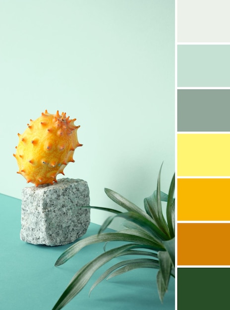 Photo palette de couleurs assorties à partir de l'image avec pitahaya aux fruits du dragon jaune sur socle en pierre de granit