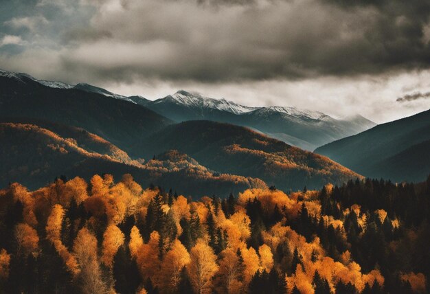 La palette panoramique de l'automne Foliage en octobre Contenu généré par Ai