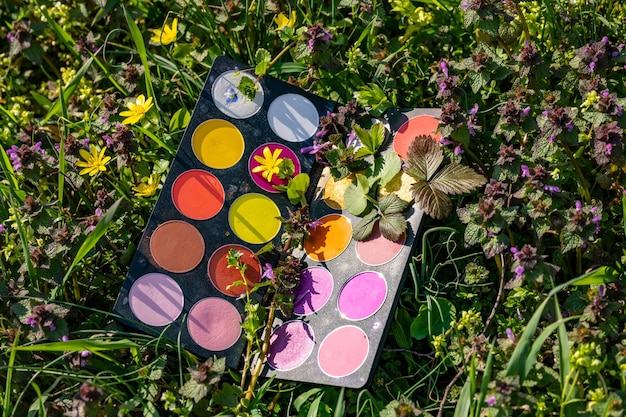 Photo une palette de peinture et de fleurs dans un champ