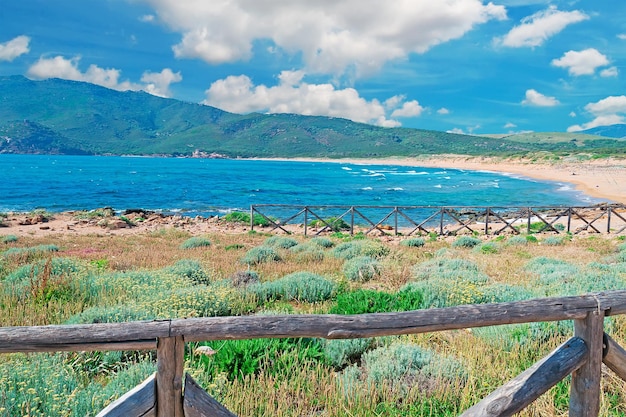 Palissade en bois à Porto Ferro Sardaigne