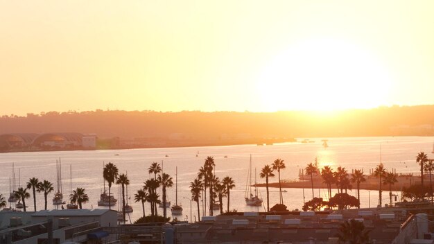 Photo palm tree silhouettes ocean harbour au coucher du soleil san diego california coast usa