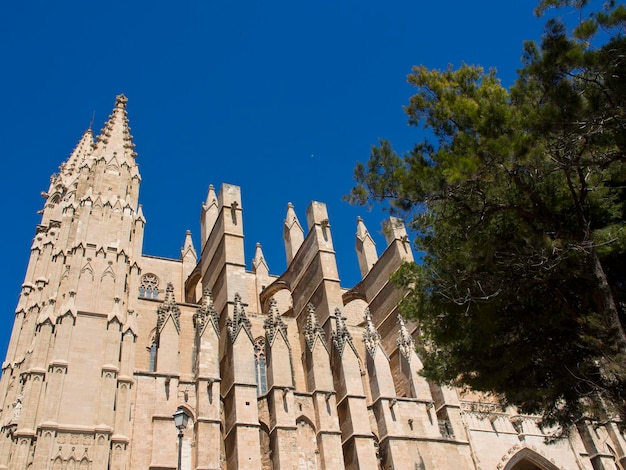 Photo palma de majorque en espagne