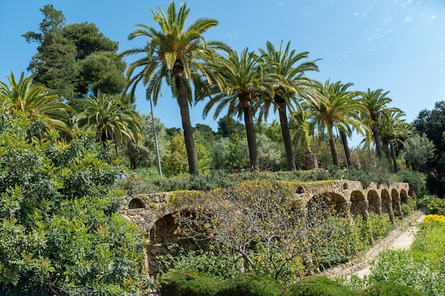 Palmas en Espagne, viaduc vert