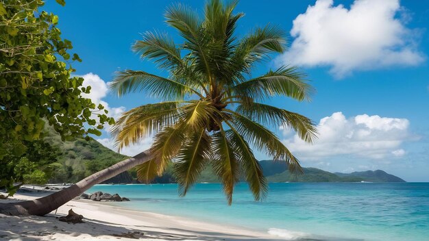Photo palmeraie sur une plage entourée de verdure et de la mer sous la lumière du soleil à praslin aux seychelles