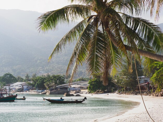 Photo un palmier, un bateau de pêche et une magnifique plage de sable blanc.