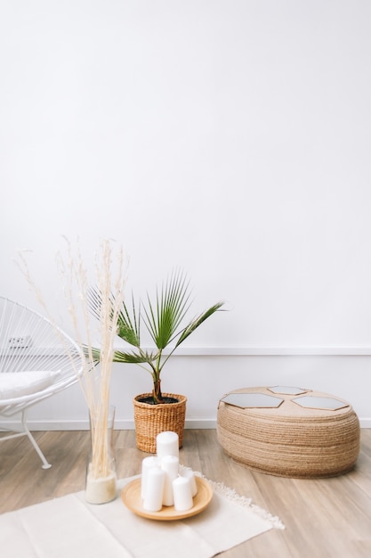 Palmier dans un pot et éléments de décoration en rotin. Design intérieur écologique du salon dans une maison moderne.