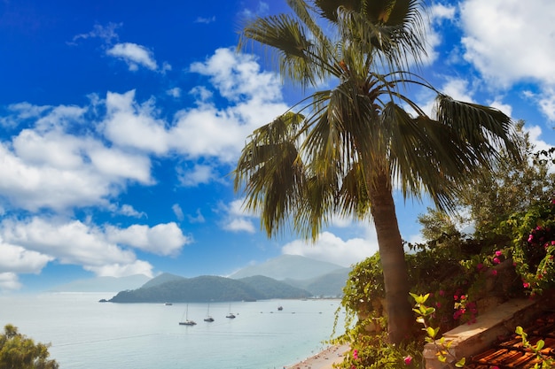 Palmier sur la montagne sur fond de mer Égée azur, de montagnes luxuriantes, de nuages duveteux dans le ciel bleu et de plage avec du sable blanc et des gens. Concept de détente, de loisirs et de voyage. Espace de copie