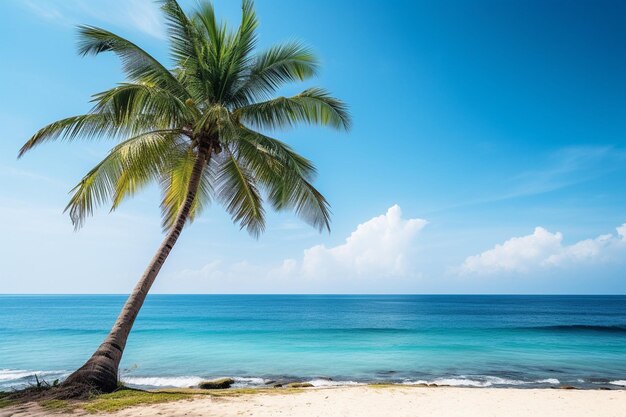 Un palmier à noix de coco sur la plage tropicale et la mer