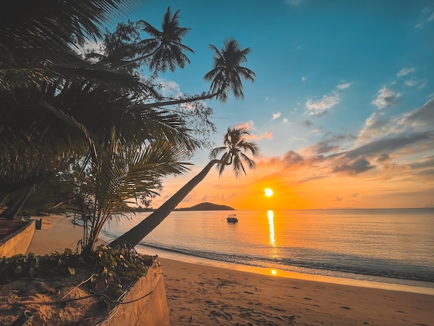 Palmier de paysage de coucher de soleil d'île tropicale d'or