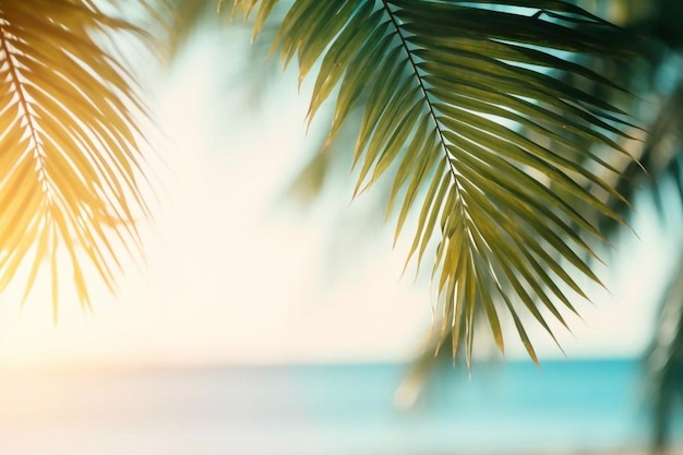 un palmier sur la plage