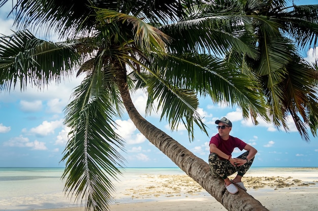 Un palmier solitaire sur la mer des Caraïbes, sur le fond bleu de la mer et du ciel. Sur le rivage se repose et détend le touriste, assis sous un arbre exotique. Jeune homme assis à l'ombre des feuilles de palmier