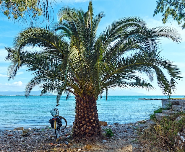 Palmier et vélo près de la plage de galets d'été Lefkada, Grèce