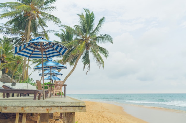 Palmiers au bord de l&#39;océan Indien sur la plage de Hikkaduwa, au Sri Lanka.