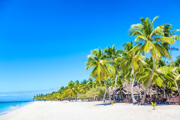 Palmiers et chaises sur la plage tropicale des Caraïbes