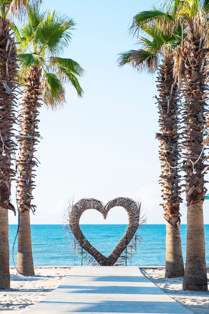 Palmiers Et Coeur Près De La Mer. Concept D'été