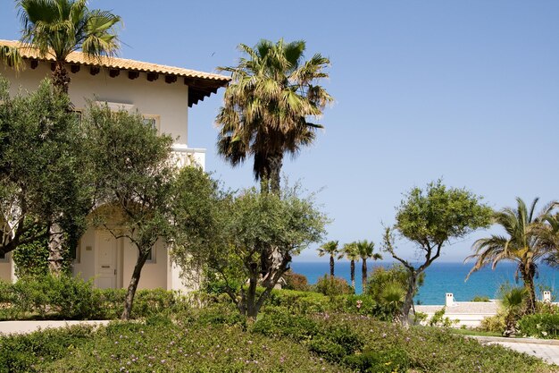 Palmiers et herbe verte sur fond de mer et de montagnes