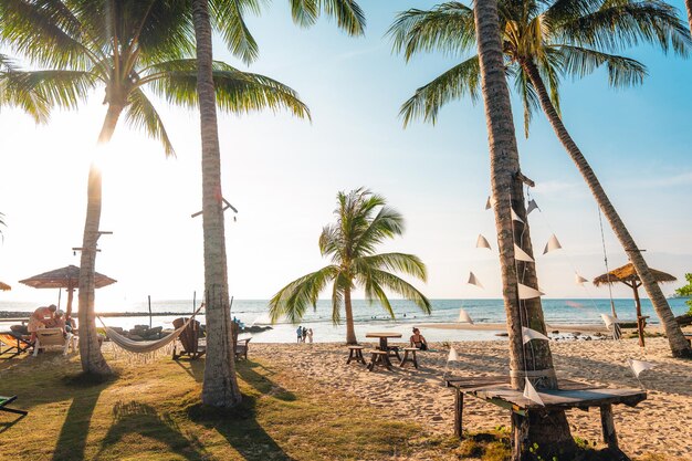 Photo des palmiers sur une île près de la plage le matin