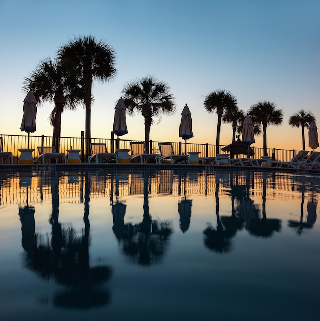 Palmiers et leur reflet dans la piscine au coucher du soleil