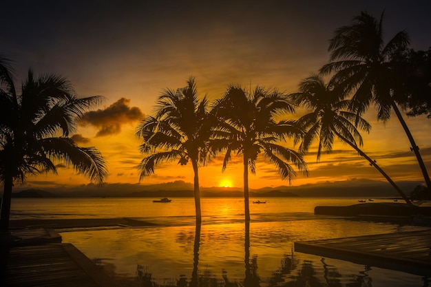 Des palmiers en mer au coucher du soleil