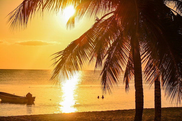 Des palmiers sur la plage contre le ciel au coucher du soleil