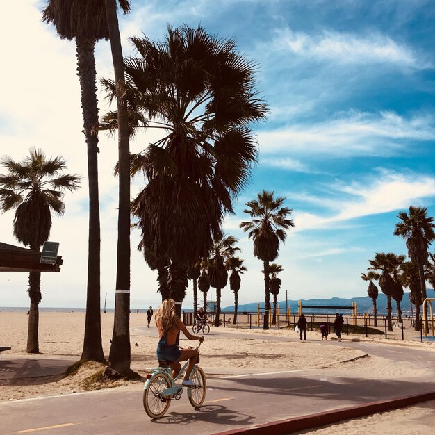 Photo des palmiers sur la plage contre le ciel