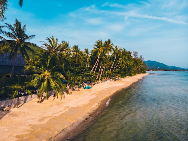 Des palmiers sur la plage contre le ciel