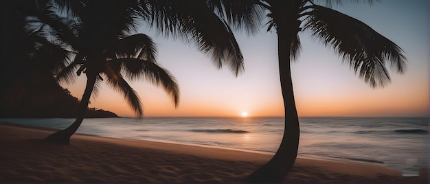 Palmiers sur une plage avec coucher de soleil en arrière-plan