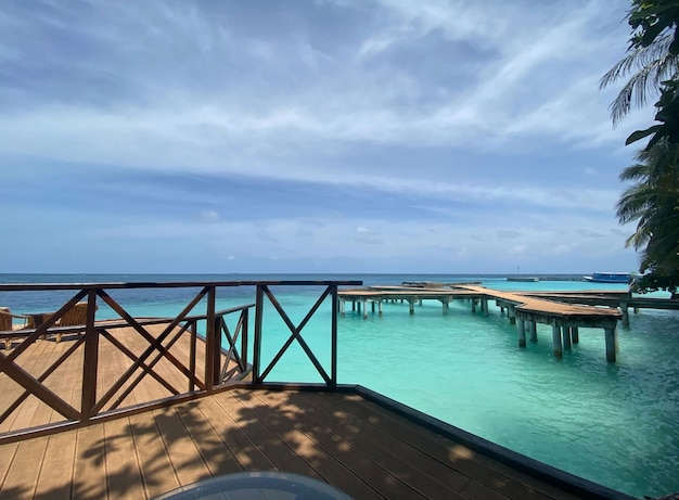 Palmiers de plage des Maldives