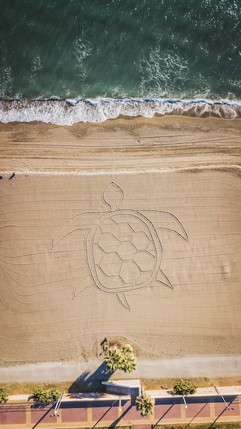 Palmiers et plage de sable avec une tortue dans le sable à Malaga, Andalousie, Espagne.