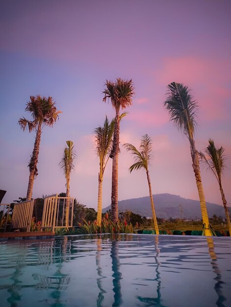 Des palmiers près de la piscine contre le ciel au coucher du soleil