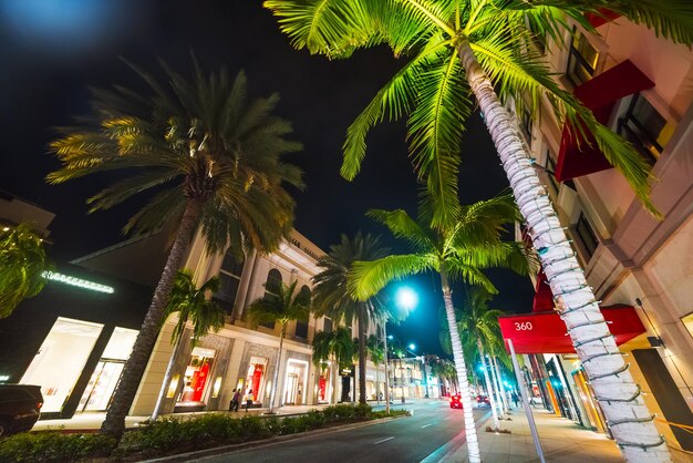 Palmiers à Rodeo Drive la nuit