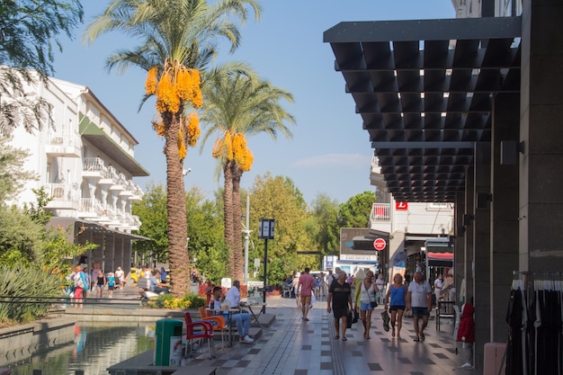 Des palmiers et une rue piétonne touristique