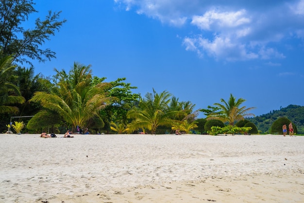 Palmiers et sable sur l'île de Malibu Beach Koh Phangan Suratthani