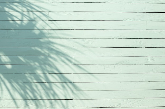 Palmiers tropicaux laisse des ombres sur fond texturé mur blanc. Concept à la mode de l'été.