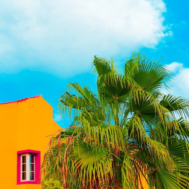 Palms Îles Canaries Voyage vibes