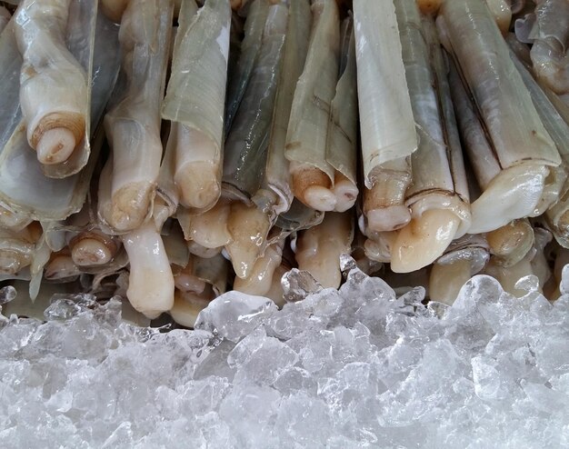 Palourde rasoir au marché frais, Thaïlande