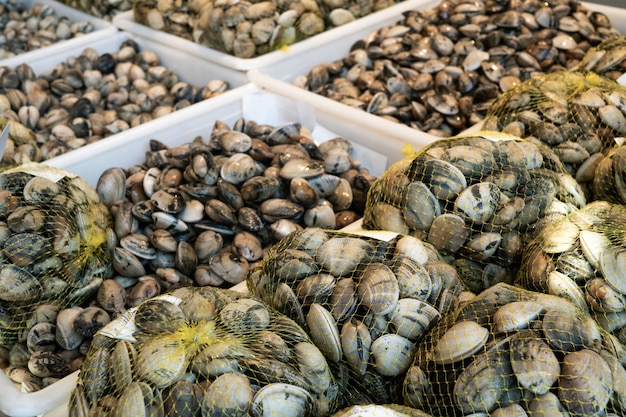 Palourdes fraîches sur des caisses à vendre