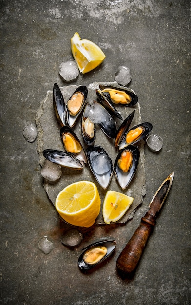 Palourdes fraîches avec du citron et de la glace sur un support en pierre.