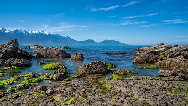 Photo pancake rock en nouvelle-zélande