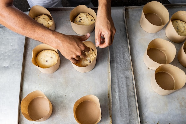 Panettone. Production industrielle de panettone de Noël